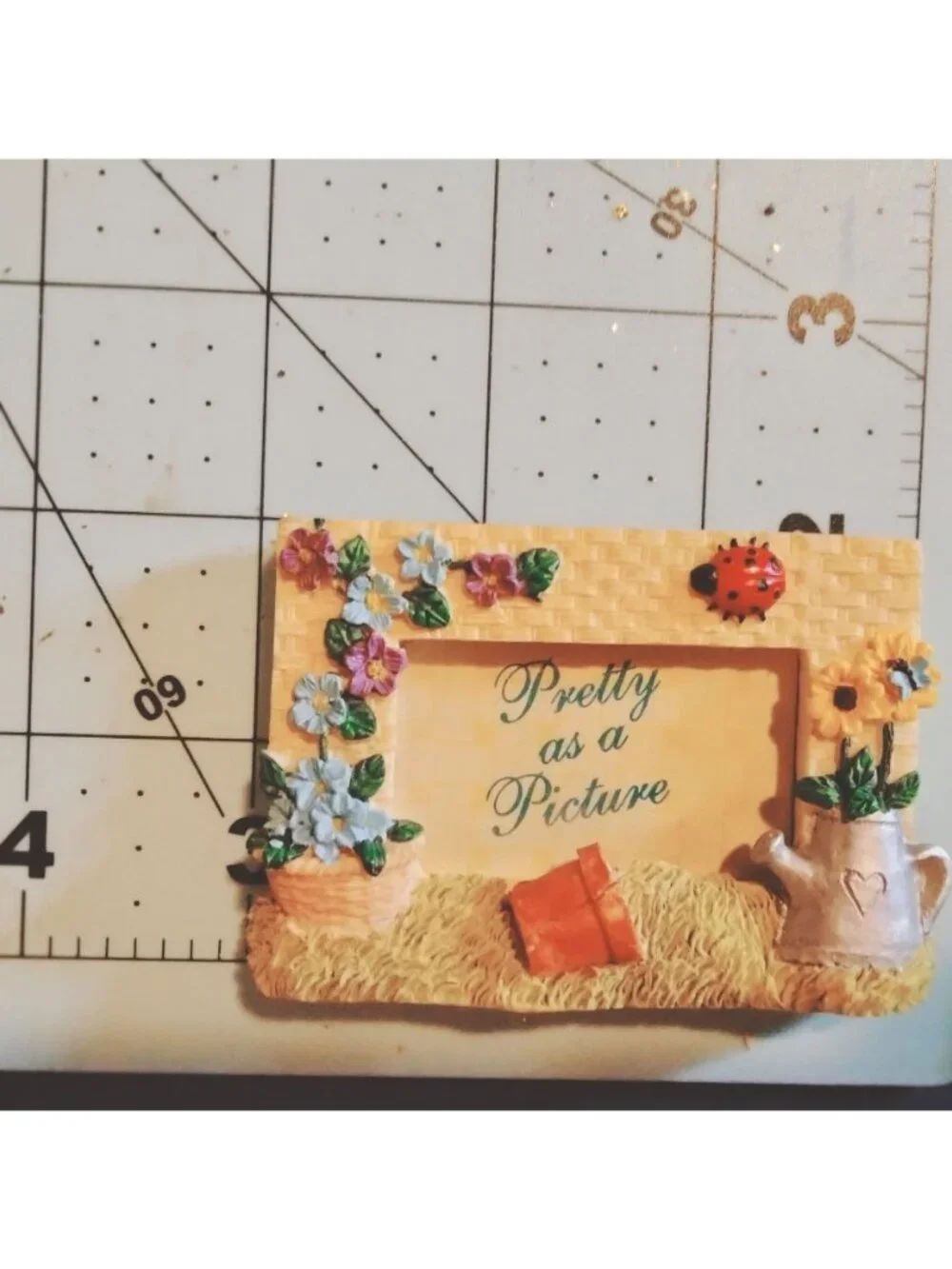 Pretty As A Picture Floral Mini Frame Decorative Gardener Photo